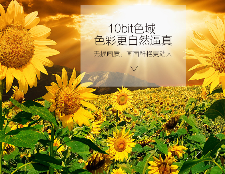 開博爾