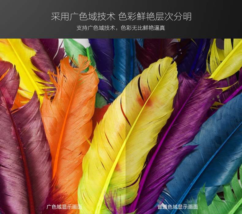 開(kāi)博爾