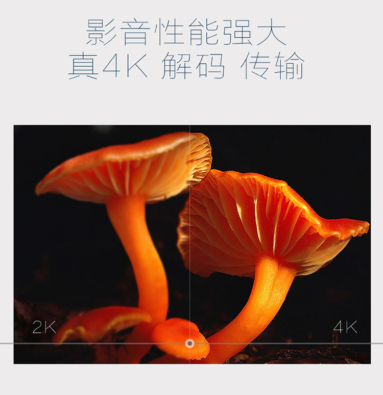 開博爾