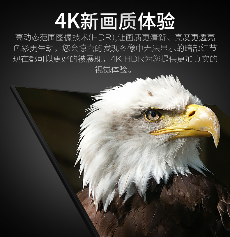 開博爾