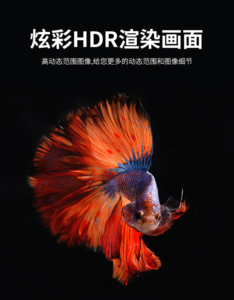 開博爾
