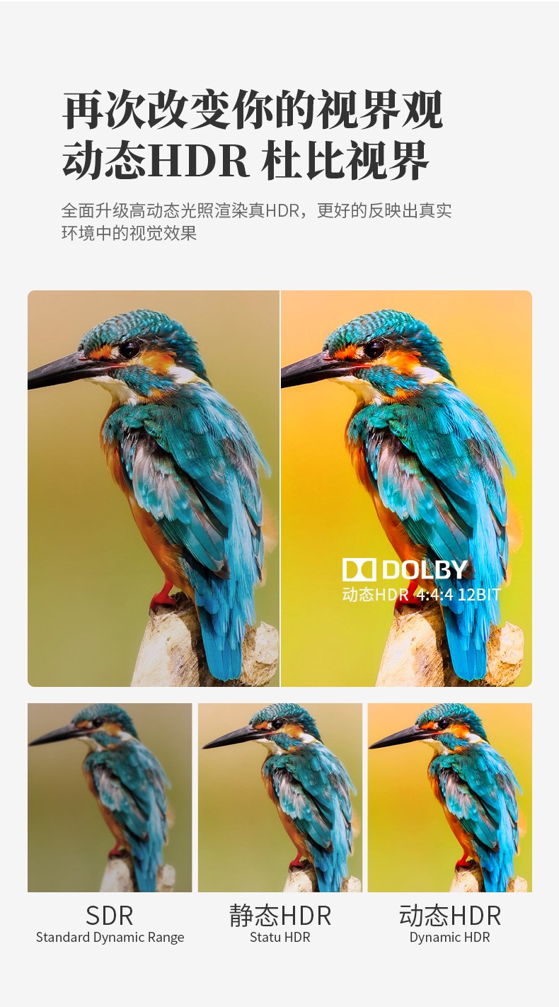1568685248199850.jpg 開博爾