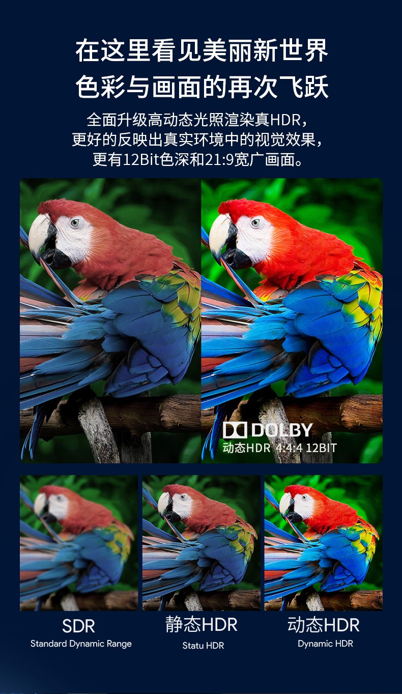 開博爾