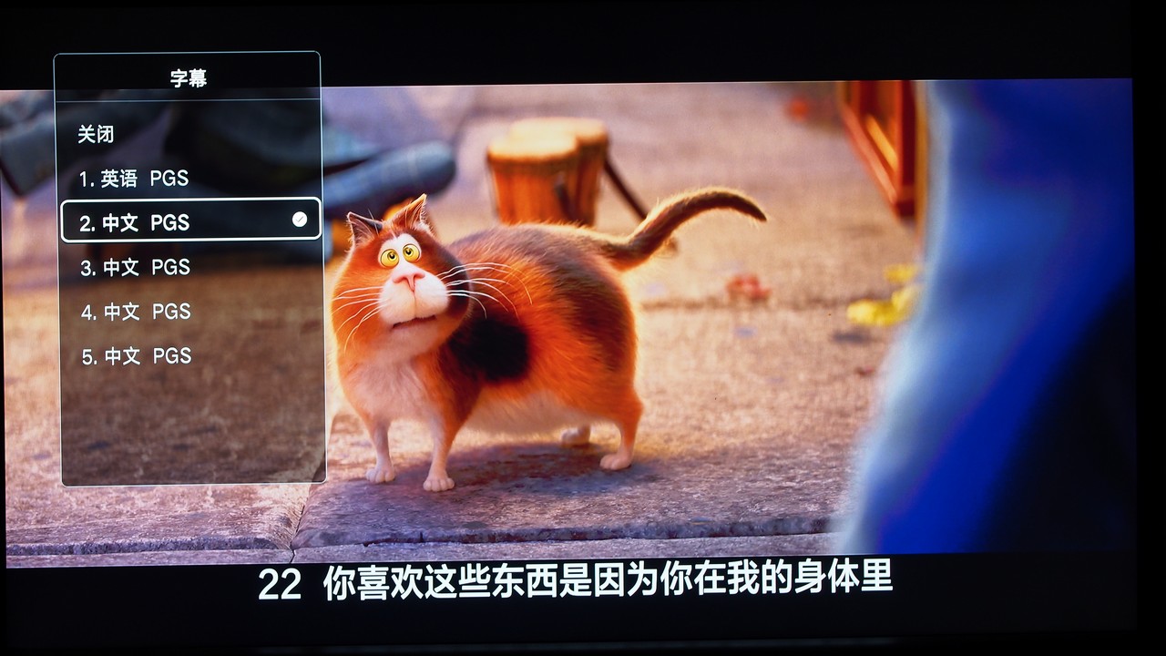開博爾