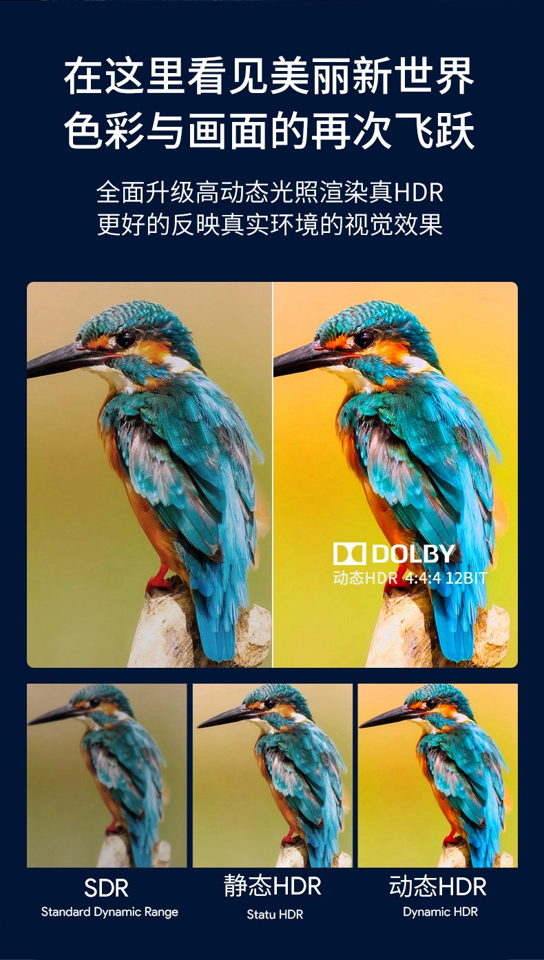 開博爾